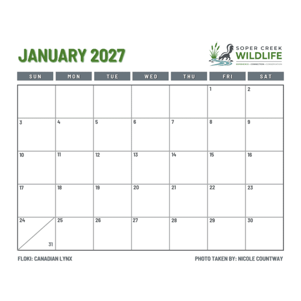 2027 Wildlife Calendar *Pre-Order* - Image 3