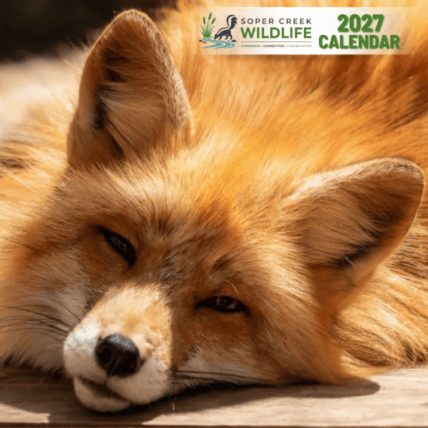 2027 Wildlife Calendar *Pre-Order*